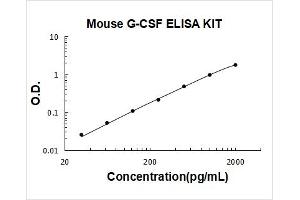 Colony Stimulating Factor 3 (Granulocyte) (CSF3) ELISA Kit