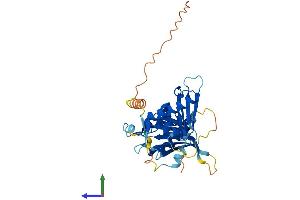 Protein Structure (PS) image for Centromere Protein L (CENPL) (AA 1-329) protein (His tag) (ABIN7557145)