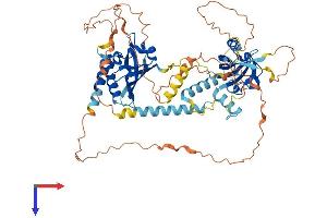 ARNTL2 Protein (AA 1-579) (His tag)