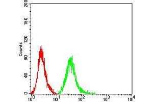 Flow cytometric analysis of MCF-7 cells using ROP1 mouse mAb (green) and negative control (red).