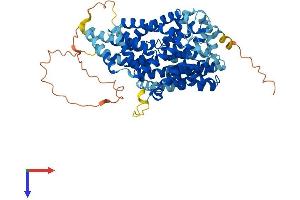 SLC13A3 Protein (AA 1-602) (His tag)