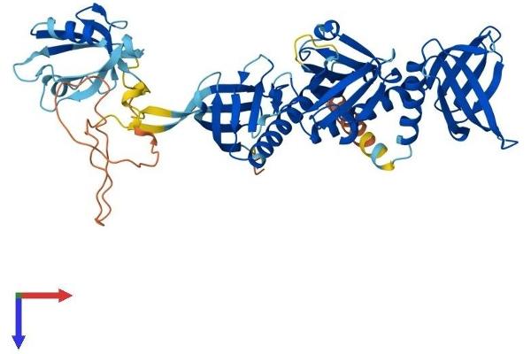 Syntrophin gamma 1 Protein (AA 1-517) (His tag)
