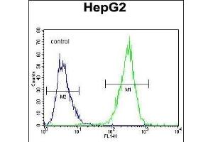 ARD Antibody (C-term) (ABIN655880 and ABIN2845281) flow cytometric analysis of HepG2 cells (right histogram) compared to a negative control cell (left histogram). (PPARD Antikörper  (C-Term))