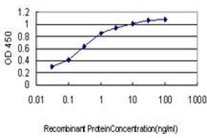 Detection limit for recombinant GST tagged TSSK2 is approximately 0.