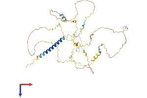 PAG1 Protein (AA 1-429) (His tag)