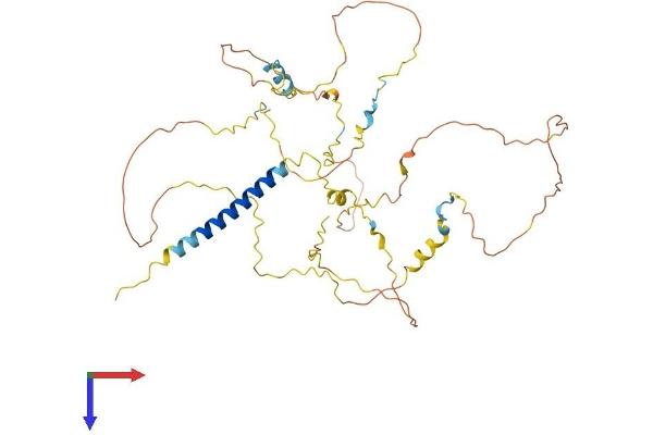 PAG1 Protein (AA 1-429) (His tag)