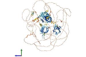 Protein Structure (PS) image for Par-3 Partitioning Defective 3 Homolog B (PARD3B) (AA 1-1203) protein (His tag) (ABIN7564943)