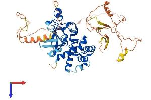 SUV420H2/KMT5C Protein (AA 1-468) (His tag)