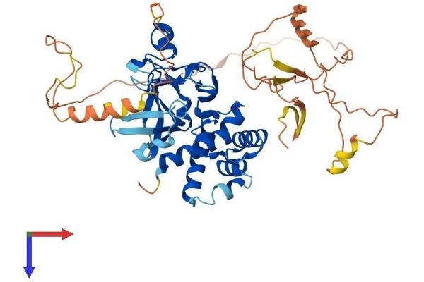 SUV420H2/KMT5C Protein (AA 1-468) (His tag)