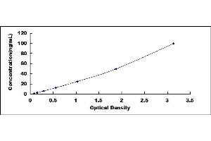 Typical standard curve (ICAM1 ELISA Kit)