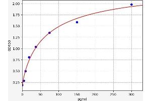 Fibroblast Growth Factor 15 (FGF15) ELISA Kit