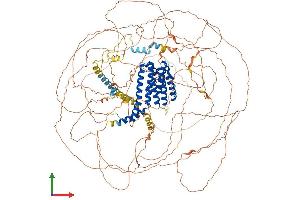Protein Structure (PS) image for AF4/FMR2 Family, Member 2 (AFF2) (AA 1-1311) protein (His tag) (ABIN7552009)