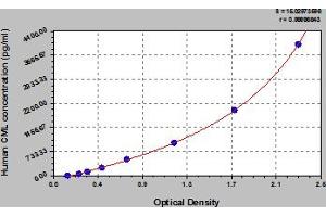 Carboxy Methyl Lysine ELISA Kit