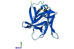 Protein Structure (PS) image for Interleukin 1 Family, Member 10 (Theta) (IL1F10) (AA 1-152) protein (His tag) (ABIN7559755)