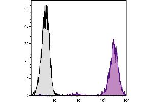 DBA/2 mouse mastocytoma cell line P815 and mB7. (CD86 Antikörper  (SPRD))