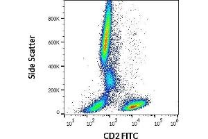 Flow cytometry surface staining pattern of human peripheral whole blood stained using anti-human CD2 (LT2) FITC antibody (20 μL reagent / 100 μL of peripheral whole blood). (CD2 Antikörper  (FITC))