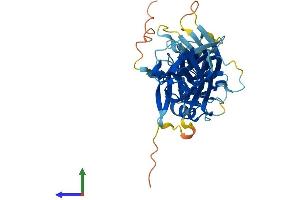 Protein Structure (PS) image for S-Antigen, Retina and Pineal Gland (Arrestin) (SAG) (AA 1-403) protein (His tag) (ABIN7562947)
