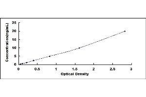 Typical standard curve (Coronin 1a ELISA Kit)