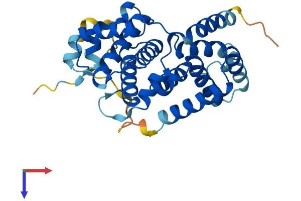 Cyclin G1 Protein (CCNG1) (AA 1-294) (His tag)