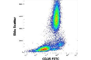 Flow cytometry surface staining pattern of human peripheral whole blood stained using anti-human CD35 (E11) FITC antibody (4 μL reagent / 100 μL of peripheral whole blood). (CD35 Antikörper  (FITC))