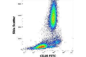 Flow cytometry surface staining pattern of human peripheral whole blood stained using anti-human CD35 (E11) FITC antibody (4 μL reagent / 100 μL of peripheral whole blood).