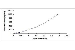 Platelet Derived Growth Factor A (PDGFA) ELISA Kit