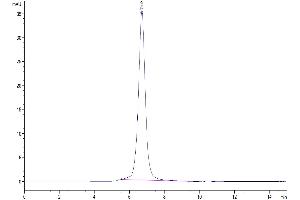 Size-exclusion chromatography-High Pressure Liquid Chromatography (SEC-HPLC) image for Fc Fragment of IgG, Low Affinity IIIb, Receptor (CD16b) (FCGR3B) (AA 17-200) protein (His-Avi Tag) (ABIN7274600)