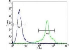 HLA-DQA1 antibody flow cytometric analysis of NCI-H460 cells (green) compared to a negative control cell (blue). (HLA-DQA1 Antikörper  (AA 39-66))