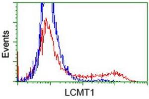 HEK293T cells transfected with either RC200018 overexpress plasmid (Red) or empty vector control plasmid (Blue) were immunostained by anti-LCMT1 antibody (ABIN2454710), and then analyzed by flow cytometry. (LCMT1 Antikörper)
