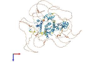 ADNP Protein (AA 1-1102) (His tag)