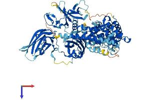 RASAL1 Protein (AA 1-804) (His tag)