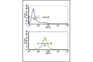 IL10 Antibody (Center) (ABIN653057 and ABIN2842660) flow cytometry analysis of Jurkat cells (bottom histogram) compared to a negative control (top histogram). (IL-10 Antikörper  (AA 27-53))