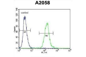 Flow Cytometry (FACS) image for anti-DDB1 and CUL4 Associated Factor 4-Like 2 (DCAF4L2) antibody (ABIN2995734) (DCAF4L2 Antikörper)
