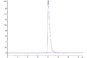 The purity of Cynomolgus CADM3 is greater than 95 % as determined by SEC-HPLC. (CADM3 Protein (AA 23-326) (His tag))