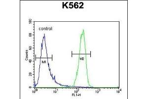Flow Cytometry (FACS) image for anti-ATPase, Class I, Type 8A, Member 2 (ATP8A2) (AA 293-322), (N-Term) antibody (ABIN654888)
