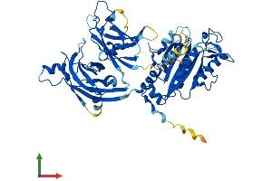 Protein Structure (PS) image for Copine IX (CPNE9) (AA 1-553) protein (His tag) (ABIN7556999)