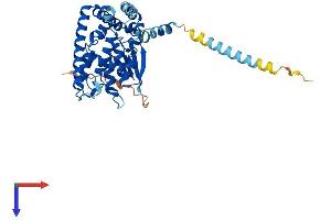 GDAP1 Protein (AA 1-358) (His tag)