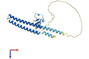 ING5 Protein (AA 1-240) (His tag)