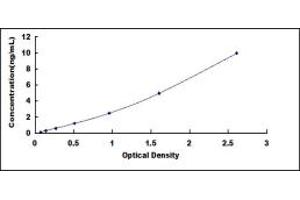 MCL-1 ELISA Kit