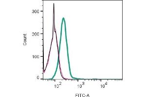Cell surface detection of HVCN1 by indirect flow cytometry in live intact human  acute monocytic leukemia cells: + goat-anti-rabbit-FITC.
