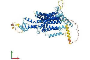 AlphaFold protein structure predicition of Human Recombinant TMEM161B Protein, UniprotID Q8NDZ6