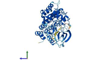 Protein Structure (PS) image for Integrin-Linked Kinase (ILK) (AA 1-452) protein (His tag) (ABIN7562498)