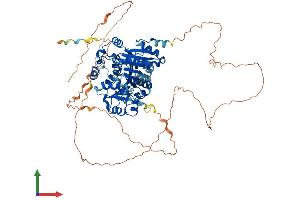 Protein Structure (PS) image for DEAD (Asp-Glu-Ala-Asp) Box Polypeptide 17 (DDX17) (AA 1-729) protein (His tag) (ABIN7553639)