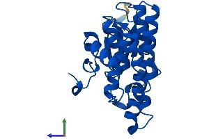Protein Structure (PS) image for Glutathione Transferase zeta 1 (Maleylacetoacetate Isomerase) (GSTZ1) (AA 1-216) protein (His tag) (ABIN7556327)