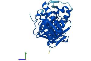 Protein Structure (PS) image for Inositol(myo)-1(or 4)-Monophosphatase 1 (IMPA1) (AA 1-277) protein (His tag) (ABIN7548480)