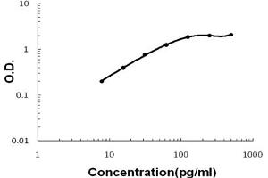 Sandwich ELISA - Recombinant mouse MIP-3 Alpha/CCL20 protein standard curve. (CCL20 Antikörper  (AA 28-97))