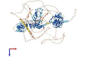 EHMT2 Protein (AA 1-1263) (His tag)