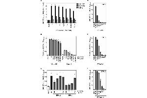 The icELISA test allows quantification of SARS-CoV-2 replication and its inhibition by antiviral compounds. (SARS-CoV-2 Nucleocapsid Antikörper)