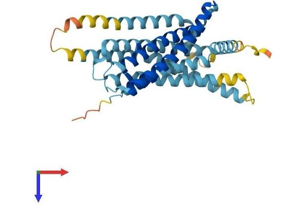 TAS2R38 Protein (AA 1-331) (His tag)