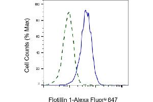 Validation of Flotillin 1 knockdown using flow cytometry. (Rekombinanter Flotillin 1 Antikörper)